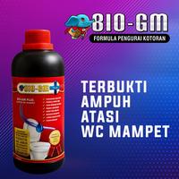 Gambar Cairan Pengurai Toilet Mampet Dan Penguras Septic Tank Bio Gm Formula - bio gm dari Blok 03 Store undefined 4 Tokopedia