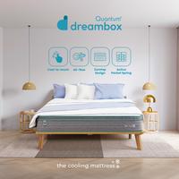 Gambar Quantum Dreambox Air-Cool 28cm kasur Dingin/ Cooling Mattress / Pocket Spring Bed Vakum - 140x200 dari Quantum Batam undefined 1 Tokopedia