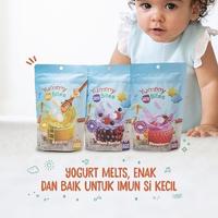 Gambar #SALE YUMMY BITES YOGHURT MELTS 20 GR SNACK YOGHURT BAYI - Gold kiwi dari Reny Mall undefined 1 Tokopedia