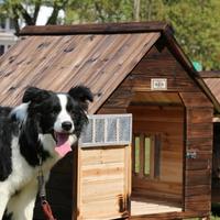 Gambar Outdoor Pet Supplies Dog House Waterproof Cage Modular Dog House Playp dari Yesoljeong undefined 3 Tokopedia