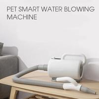 Gambar Pet supplies Papifeed Heating Adjustable Speed mini dog grooming pet dari Yesoljeong undefined 3 Tokopedia