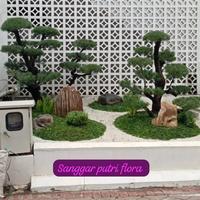 Gambar TAMAN KERING PAKE BONSAI CEMARA UDANG 2 DAN PAKE RUMPUT GAJA MINI DAN BATU BLONDOS API FOSIL dari Sanggar Dhira flora undefined 2 Tokopedia