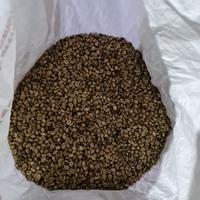 Gambar KOPI BUBUK, KOPI ROBUSTA 200 gr dari TOKO CAT GOSYEN undefined 4 Tokopedia