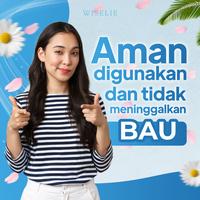 Gambar PAKET 6 PCS Anti Kecoa Spray Racun Pembasmi Kecoa Kecoak Bugs Buster Terampuh Paling Ampuh Cairan pengusir dari Wiselie Indonesia undefined 4 Tokopedia
