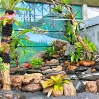 Gambar Kolam Natural Batu Asli dari Tukang Taman Pradana undefined 2 Tokopedia