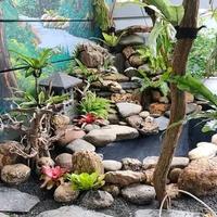 Gambar Kolam Natural Batu Asli dari Tukang Taman Pradana undefined 1 Tokopedia