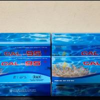 Gambar CAL-95 Box 30 Kaplet Kalsium Coral 500mg & Isoflavone 20mg untuk Anak Ibu Hamil Menyusui Mencegah Osteoporosis Herbal Nyeri Calcium Chewable dari Maxim Farma undefined 1 Tokopedia