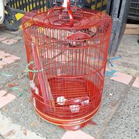 Gambar sangkar burung murai rafi jaya no 3 - Cokelat, lis akrilic dari agsa sangkar undefined 4 Tokopedia