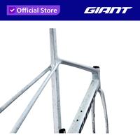 Gambar GIANT FRAMESET TCR ADVANCED SL GEN 10 - MARAYA BLUE, S dari Giant Bicycle Indonesia undefined 3 Tokopedia
