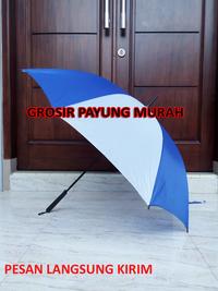 Gambar Payung Standar Gagang Platik Payung Kombinasi - hijau-putih dari GROSIR PAYUNG MURAH undefined 4 Tokopedia