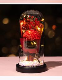 Gambar Bucket Bunga Kering Lampu Led Kaca Buket Kado Wisuda Hadiah Dekorasi Artificial Flower - Red dari insideflow id undefined 3 Tokopedia