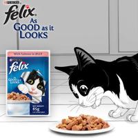 Gambar FELIX 85gr Salmon in Jelly Wet Food dari HATISENANG168 undefined 1 Tokopedia