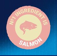 Gambar FELIX 85gr Salmon in Jelly Wet Food dari HATISENANG168 undefined 4 Tokopedia