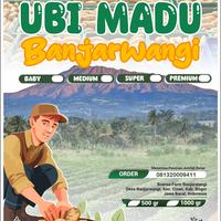 Gambar UBI MADU CILEMBU [UMI] MENTAH PREMIUM SPEK EXPORT / 1Kg dari UMI (Ubi Madu Indonesia) undefined 2 Tokopedia