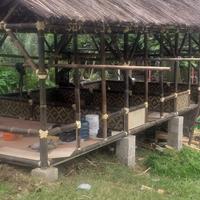 Gambar saung bambu atap ijuk harga permeter persegi  1.500.000 dari famili bambu bandung undefined 3 Tokopedia