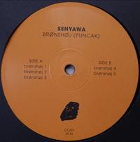 Gambar Vinyl Piringan Hitam Senyawa - Bronshoj (Puncak) dari Canyoudigit undefined 2 Tokopedia