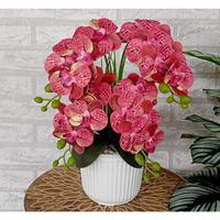 Gambar Ready bunga anggrek latex cabang dua pot garis//bunga anggrek - Peach, M dari mizushop26 undefined 1 Tokopedia