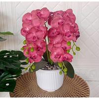 Gambar Ready bunga anggrek latex cabang dua pot garis//bunga anggrek - Peach, M dari mizushop26 undefined 3 Tokopedia