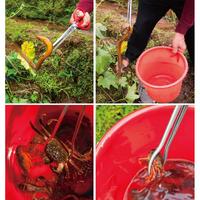 Gambar Capitan Belut Gunting Capit Penjepit Belut Kepiting Ikan Sawah Jepitan Pencapit Belut Kuat - Merah 27cm dari CV KAJAYA NIAGA BERSAMA undefined 1 Tokopedia