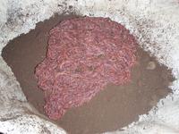 Gambar cacing lumbricus rubellus hidup dari Giii Store undefined 2 Tokopedia
