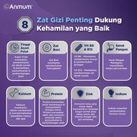Gambar Anmum Materna Lite Susu Nutrisi Ibu Hamil Rendah Lemak Cokelat 360g - Default dari Rumahsiinggah undefined 4 Tokopedia