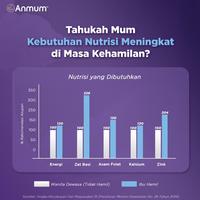 Gambar Anmum Materna Lite Susu Nutrisi Ibu Hamil Rendah Lemak Cokelat 360g - Default dari Rumahsiinggah undefined 2 Tokopedia