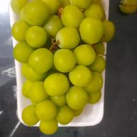 Gambar jual buah anggur shine muscat pack segar dari Cece fresh market medan undefined 3 Tokopedia