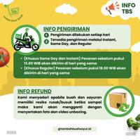 Gambar PEAR PACKHAM FRESH | Tambah Buah Sayur - 500 gr dari Tambah Buah Sayur undefined 2 Tokopedia