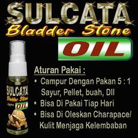 Gambar SULCATA BLADDER STONE OIL  OBAT MELURUHKAN DAN MENCEGAH BS VITAMIN ANTI CACING FOOD SUPLEMENT MELANCARKAN PENCERNAAN  REPTILE TORTOISE SULKATA MEMPERBAIKI SEL DALAM USUS KURA-KURA DARAT  CENTHROCHELYS SULCATA  MEMPERCANTIK KARAPAS KURA dari REPTILESTORE. ID undefined 3 Tokopedia