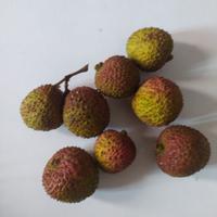 Gambar LECI SEGAR BUAH FRESH 500 GRAM ASLI DENPASAR BALI dari Bali Berkah Shop undefined 1 Tokopedia