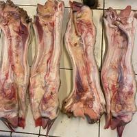 Gambar Kaki Sapi Lokal Kikil per Batang - Besar dari Lapak Kuliner ID undefined 2 Tokopedia