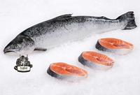 Gambar Norwegian Salmon Whole Fresh dari XanderFresh undefined 1 Tokopedia
