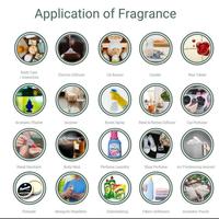 Gambar Sicher Natural Isolate Oil (Perfume Ingredient / RAW Material) Isoraldeine 95 10ml dari House of Aroma undefined 3 Tokopedia