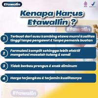 Gambar 𝐄𝐓𝐀𝐖𝐀𝐋𝐈𝐍 - Susu Kambing Etawalin Membantu Mengatasi Masalah Nyeri Sendi Tulang, Asam Urat Dan Osteoporosis - Halal Bpom - Paket 3 Box dari Juaranyaashop undefined 3 Tokopedia