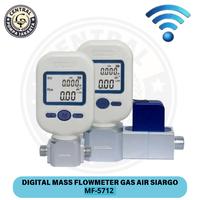 Gambar Flow Meter Gas MF5712 Oxygen Nitrogen LPG MF-5712 air tester-Siargo dari Central Pompa Jakarta undefined 1 Tokopedia