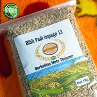 Gambar benih padi inpago 12  super unggul 1 kg dari Deystore123 undefined 1 Tokopedia