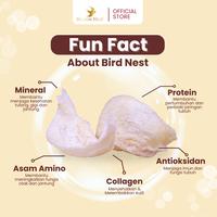 Gambar Billion Nest Bird's Nest Sarang Burung Walet Edisi Kids/Anak-anak - 1 Jar dari Billion Nest undefined 2 Tokopedia