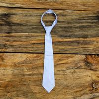 Gambar Equigear Equestrian Men Tie dari Gamma Equestrian Shop undefined 1 Tokopedia