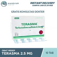 Gambar Terasma 2.5 mg 10 Tablet / Obat Asma / Obat Sesak dari Apotekmandjurofficial undefined 1 Tokopedia