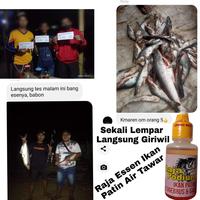 Gambar Essen Raja Podium Khusus Ikan Patin Kolam Harian Dan Alam Liar Aroma Wangi Kuat, Essen Ikan Patin Liar, Essen Ikan Patin Paling Jitu Kolam Harian, Essen Ikan Patin Sungai, Essen Ikan Patin Siang Malam, Essen Ikan Patin Media Umpan Pelet dari DAIWA DJAYA undefined 3 Tokopedia