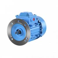 Gambar ELECTROMOTOR MERK ABB POWER 0.55 KW 3 PHASE B5 - RPM 3000 dari PT RAISE TEKNIK SOLUTION undefined 1 Tokopedia