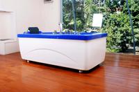 Gambar jacuzzi bathtub Single Gofar D133 dari JK sale undefined 2 Tokopedia