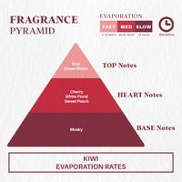 Gambar Sicher SA-101 Fragrance Oil Kiwi - 10ml dari SICHER undefined 2 Tokopedia
