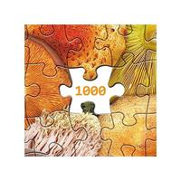 Gambar Mushroom Puzzle 1000 Piece Puzzle Adults Colorful Mushroom Jigsaw Puzzles Shrooms In Bloom Toadstool Nature Plant Puzzle Rainbow Fungi Puzzles dari Shine Markett undefined 3 Tokopedia