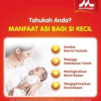 Gambar Morinaga BMT Gold Reguler 400 gram dari Rendraa Farma undefined 3 Tokopedia
