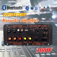 Gambar D100 Amplifier Board Bluetooth 5.0 Subwoofer DIY 300W AC 220V 12V 24V Kit Mobil HIFI Amplifier Subwoofer Karaoke USB FM Radio Power Amplifier Bluetooth Digital Stereo Mobil Amplifier Super Bass - D50 8-12 inci dari larismanisterusya undefined 1 Tokopedia
