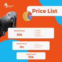 Gambar Penitipan Burung Parrot - Parrot Boarding by Palaista Parrot - Small dari Palaista Parrot undefined 5 Tokopedia