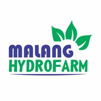 Gambar Benih Cabai Merah Keriting Serambi 10 gram Benih Petiwi dataran rendah bibit biji laris sayur sayuran srambi cabe kriting hydroponik hidroponik dari Malang Hydrofarm undefined 5 Tokopedia