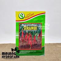 Gambar Benih Cabai Merah Keriting Serambi 10 gram Benih Petiwi dataran rendah bibit biji laris sayur sayuran srambi cabe kriting hydroponik hidroponik dari Malang Hydrofarm undefined 3 Tokopedia