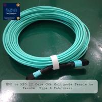 Gambar MPO 12 Core OM4 Multimode Female to Female Type B 55 Meter Pabrikasi dari MPO Fiber Optic Solution undefined 1 Tokopedia
